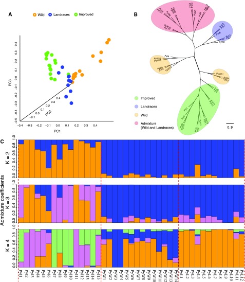 Figure 2.