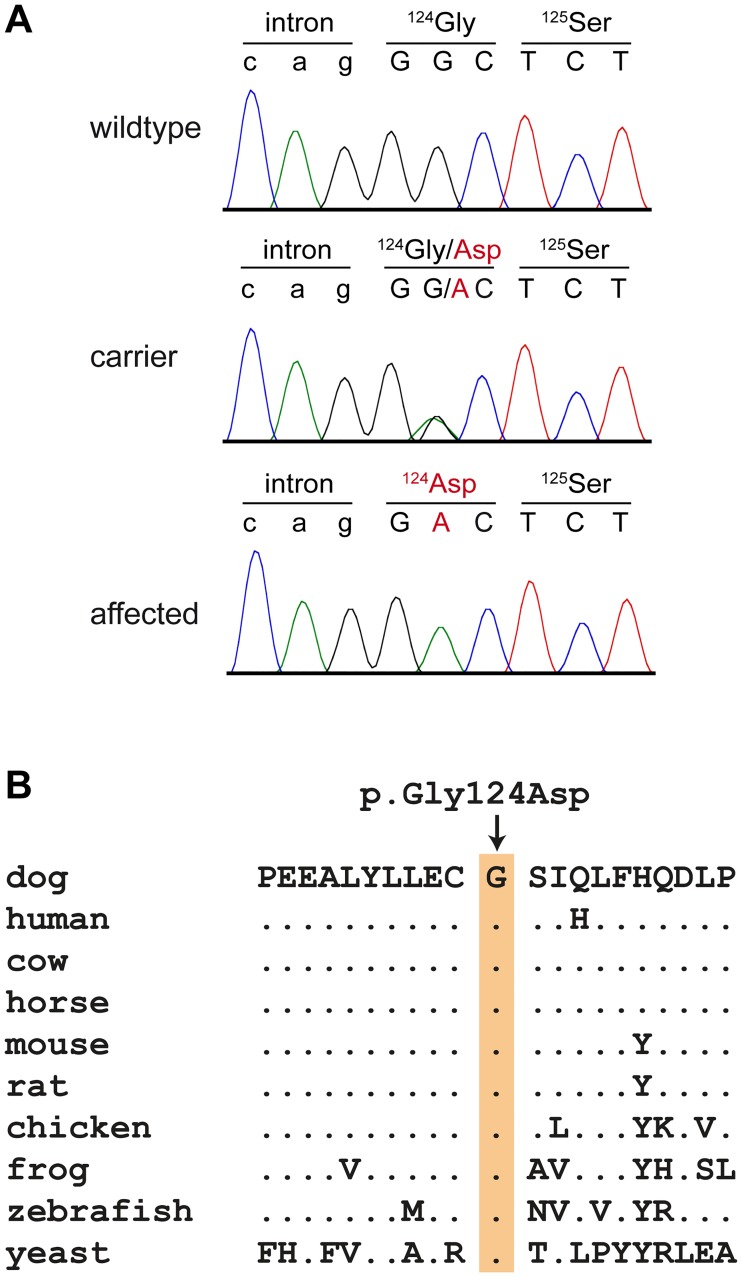 Fig 9