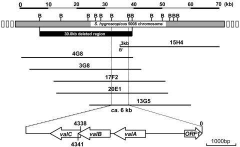 FIG. 2.