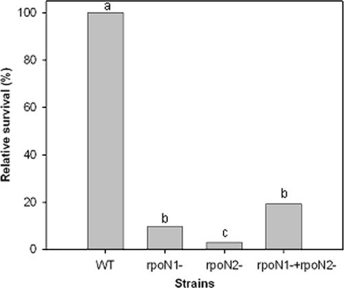 FIG. 6.