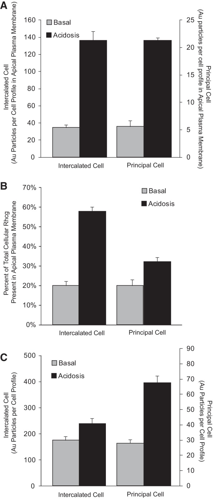 Fig. 6.