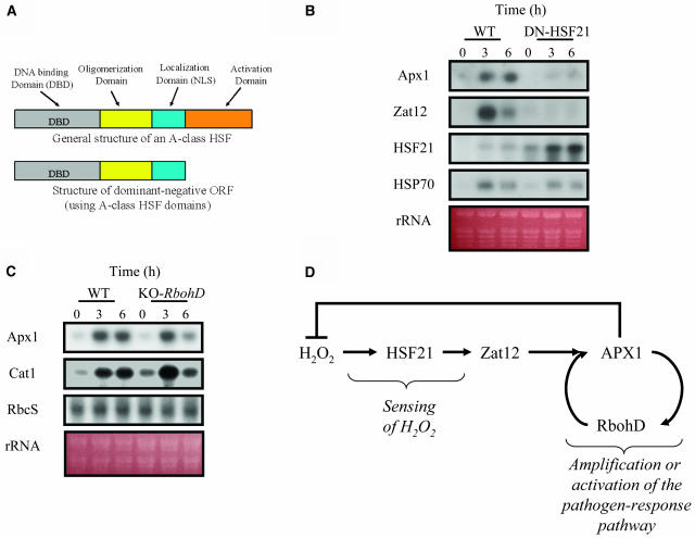 Figure 5.