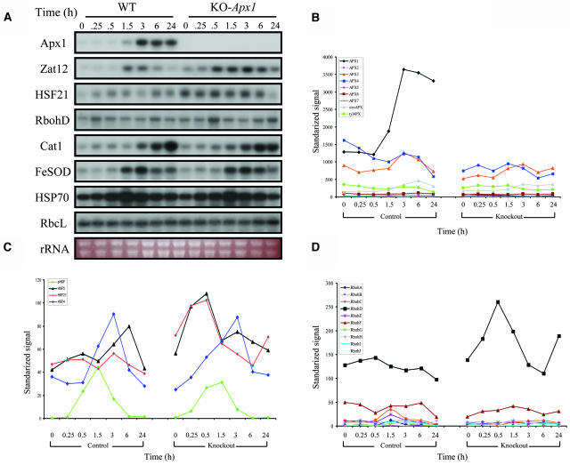 Figure 4.