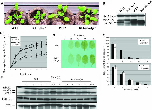 Figure 3.