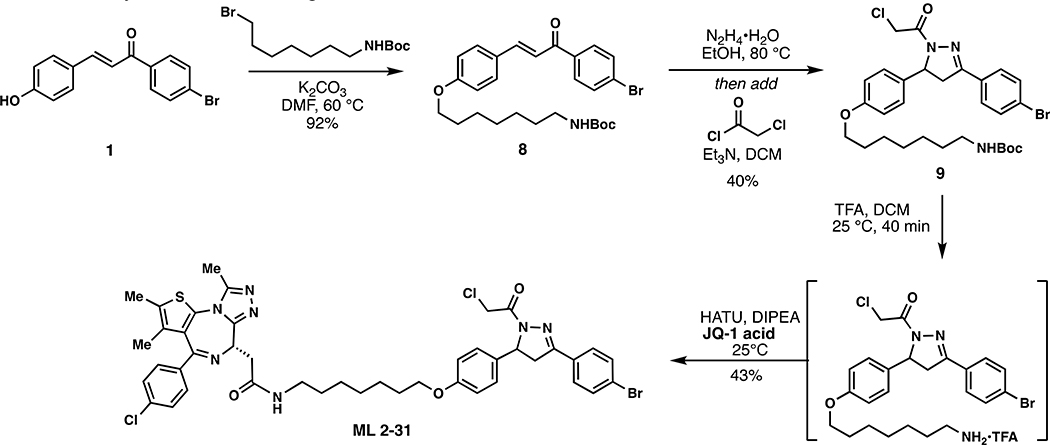 Scheme 3.