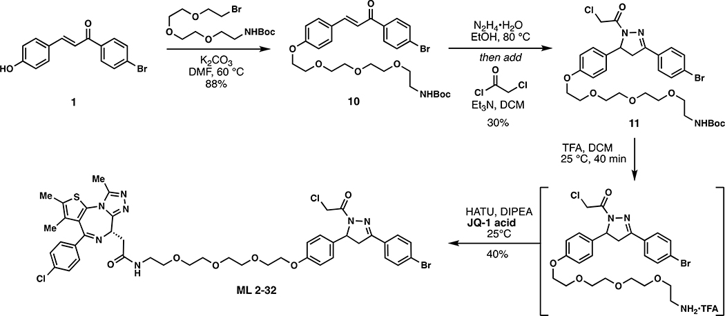 Scheme 4.