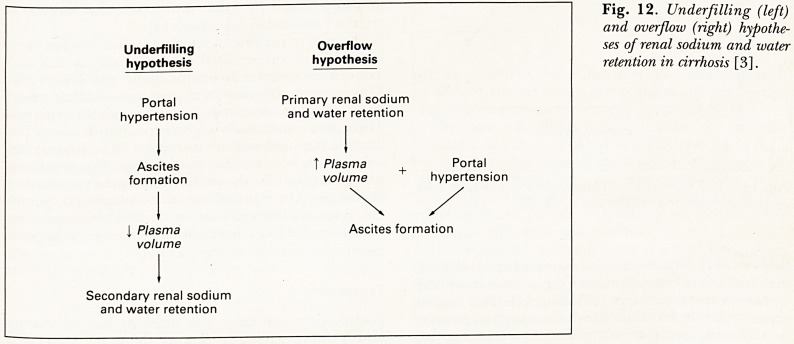 Fig. 12.