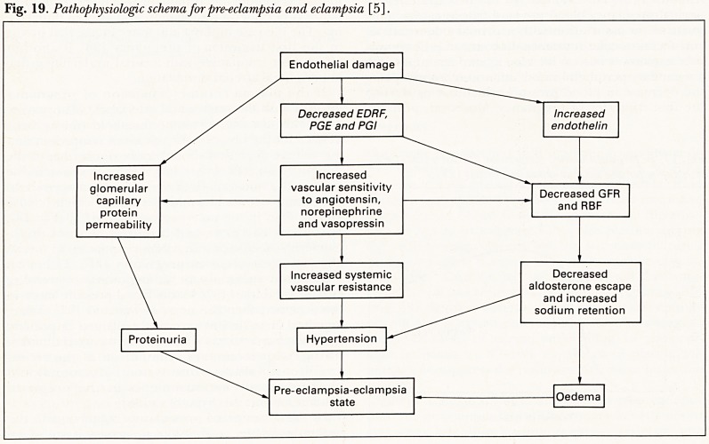 Fig. 19.