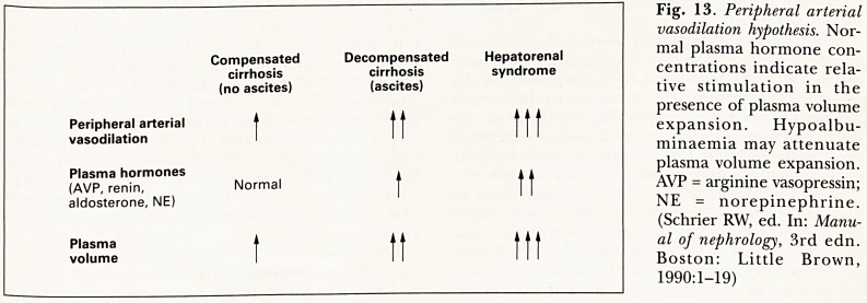 Fig. 13.