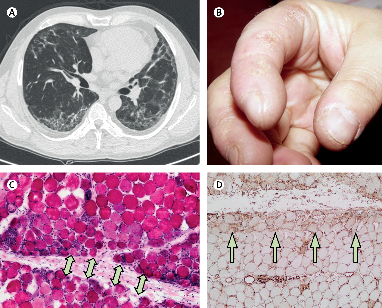 Figure 4: