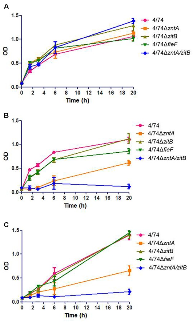 FIGURE 1