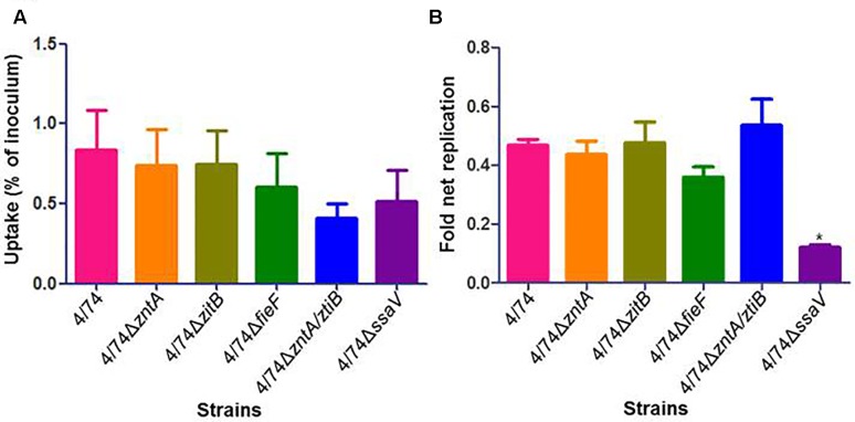 FIGURE 2