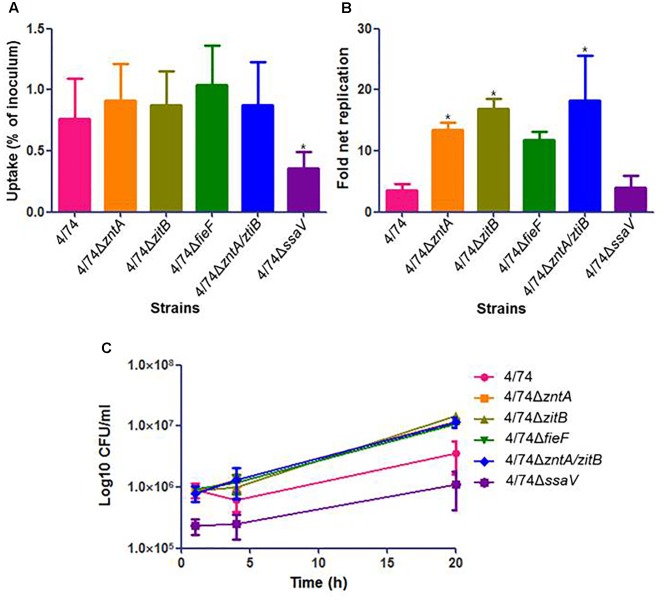 FIGURE 4