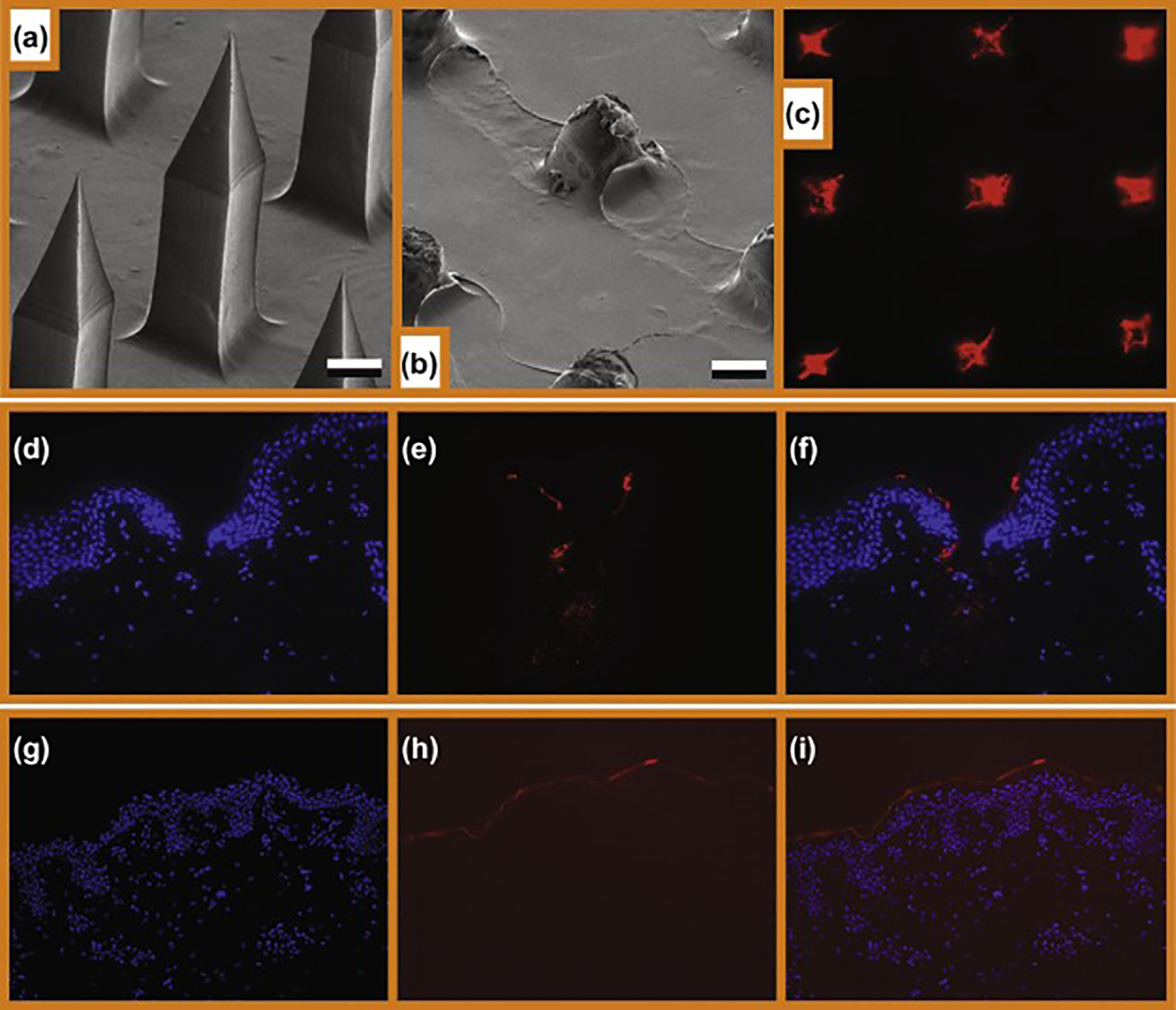 Fig.4.