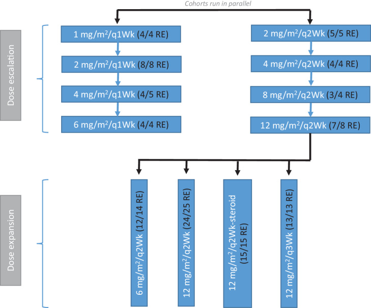 Figure 1. CONSORT diagram. RE, response evaluable patients/cohort.