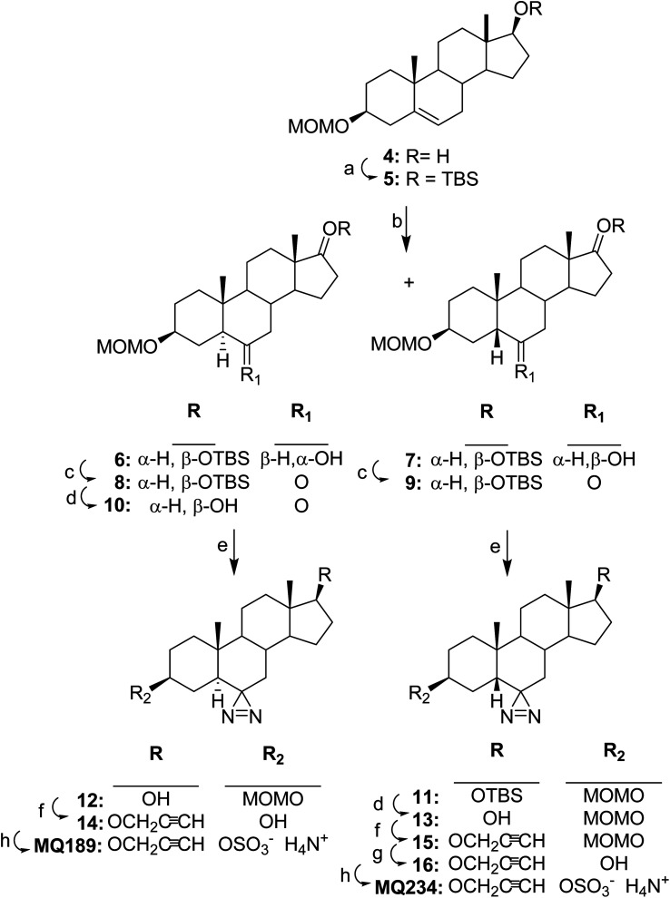 Scheme 2