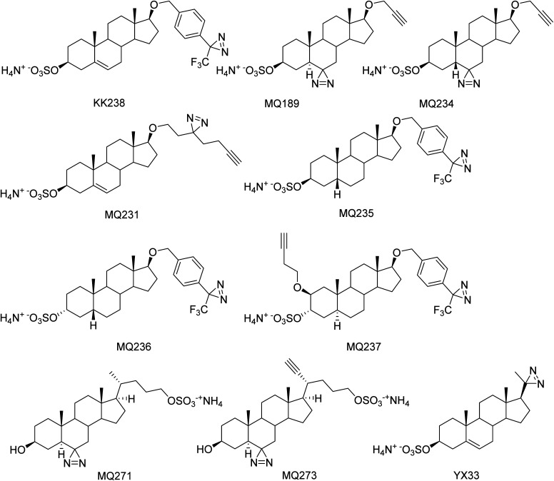 Fig. 2