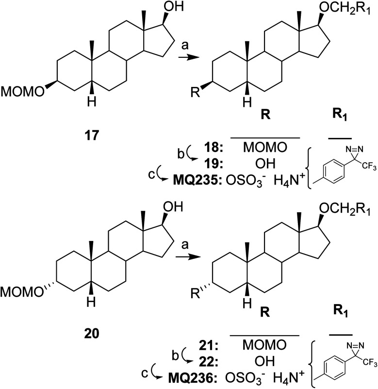 Scheme 3