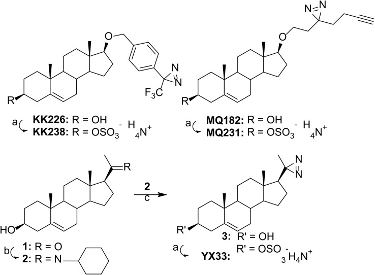 Scheme 1