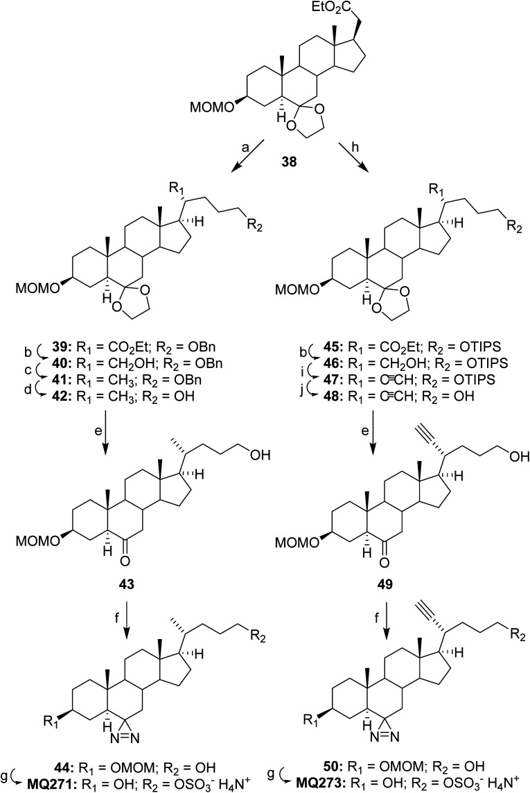 Scheme 6