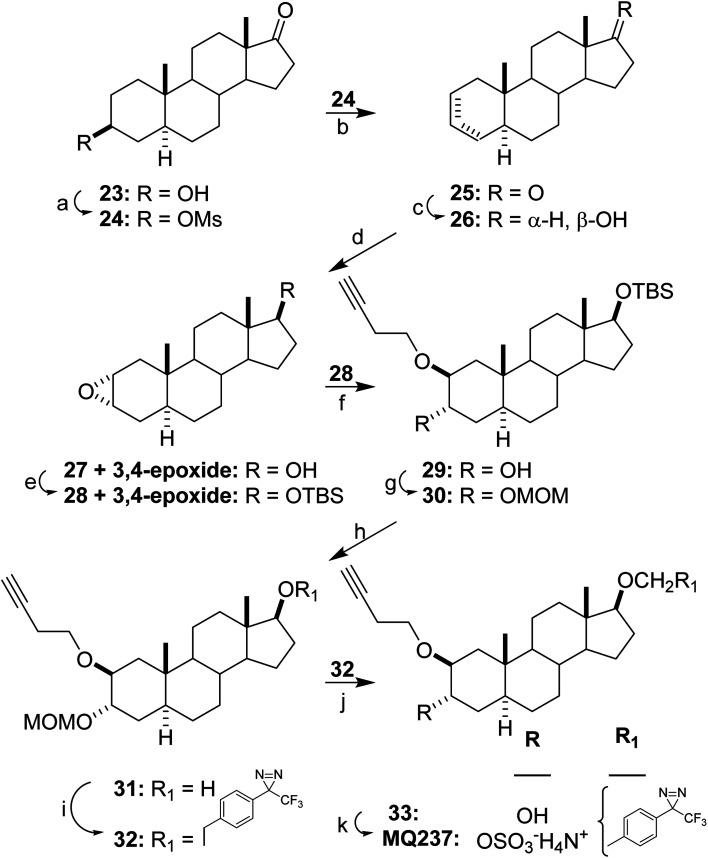 Scheme 4