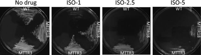 Fig 2