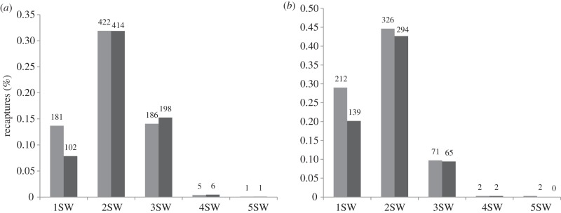 Figure 1.