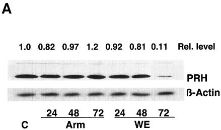 FIG. 5.