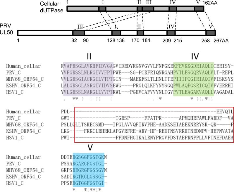 FIG 10