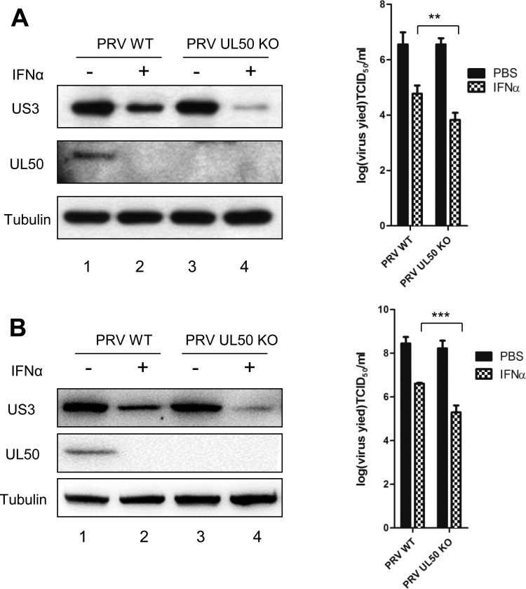 FIG 9