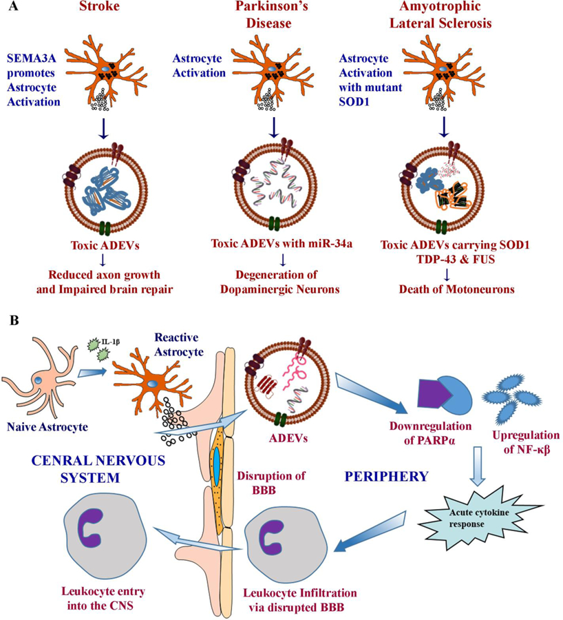 Figure 4: