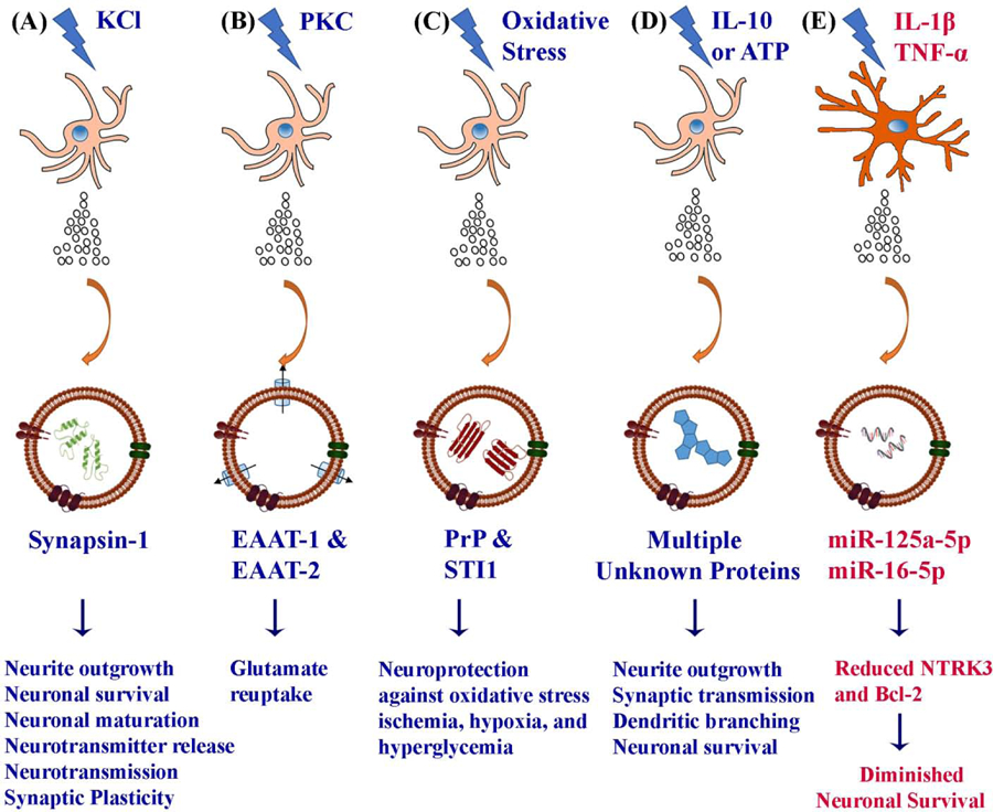 Figure 2: