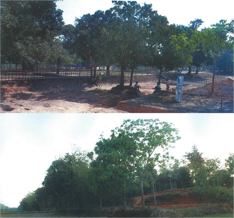 Fig. 2