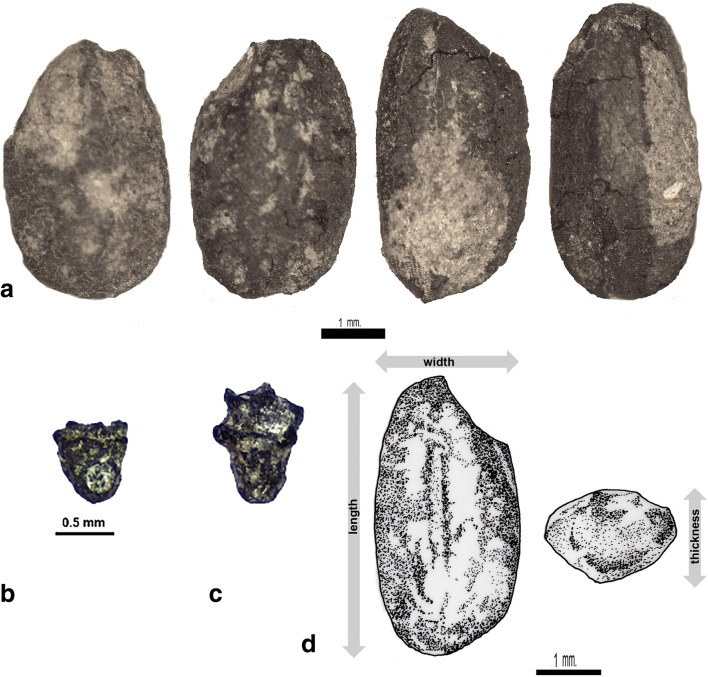 Fig. 6