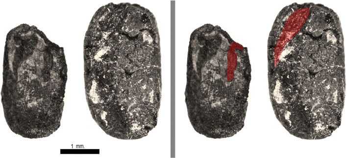 Fig. 10