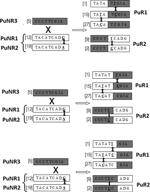 Fig. 4