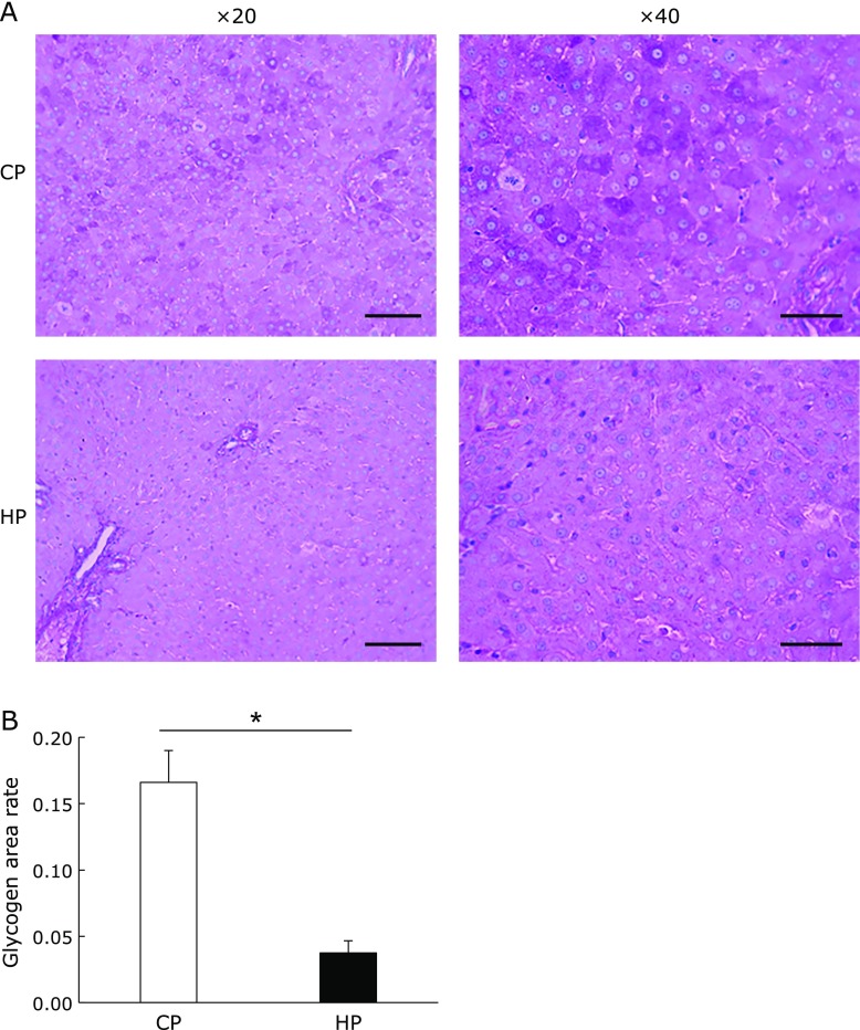 Fig. 6