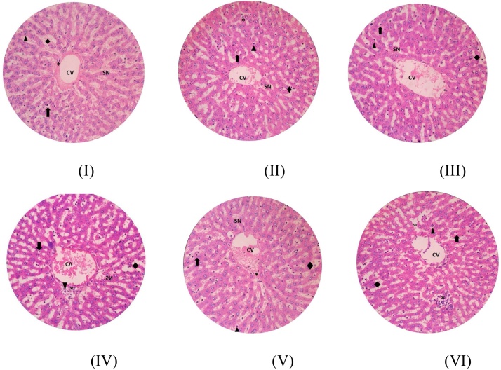 Fig. 5