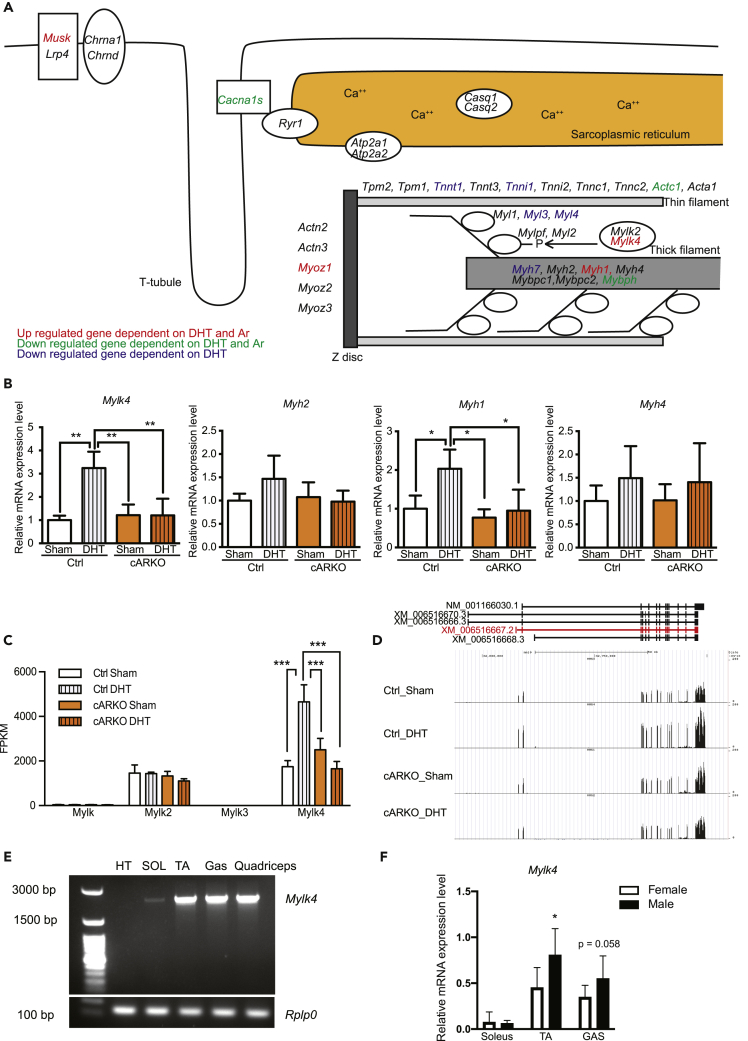 Figure 3