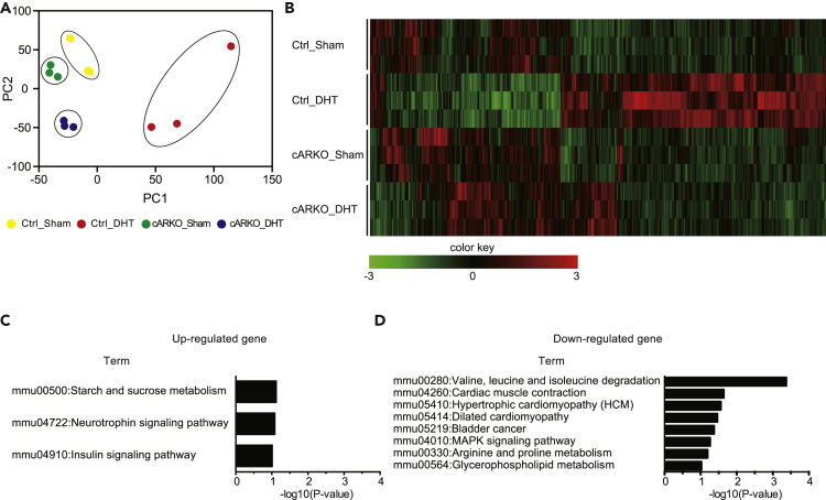 Figure 2