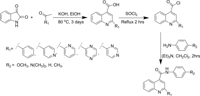 Scheme 1.