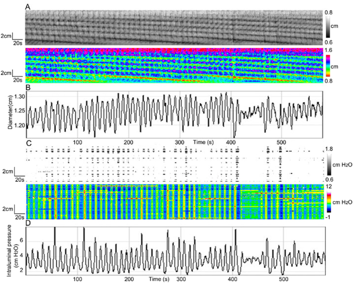 Figure 6