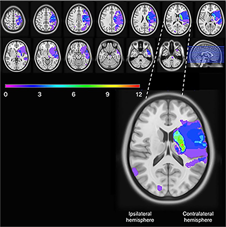 Fig. 2