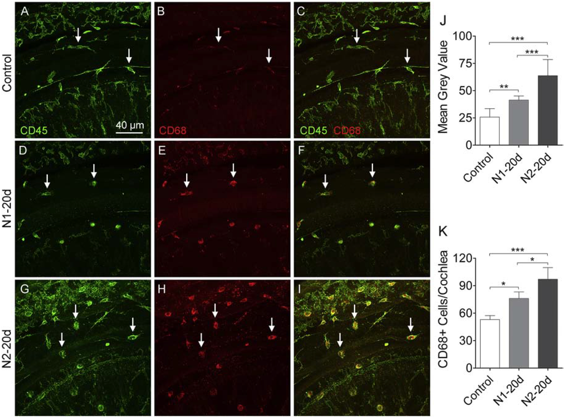 Figure 13.