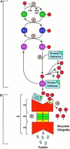 FIGURE 9