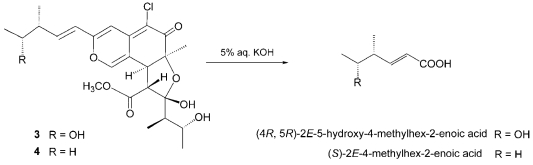 Scheme 2