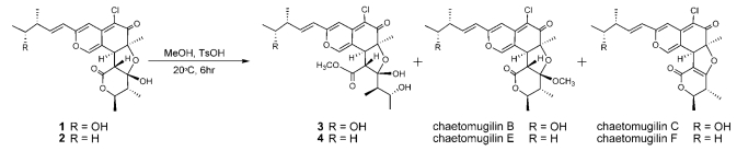 Scheme 1