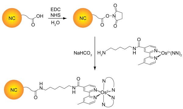 Scheme 3