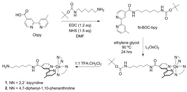 Scheme 2