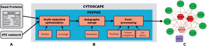 Fig. 1.